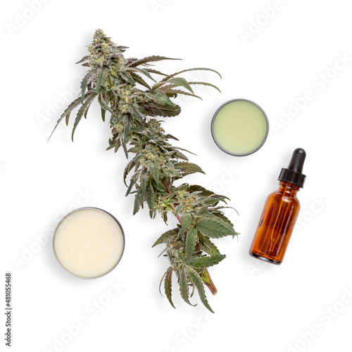 Marijuana cannabis hemp plant flower bud next to a containers of salve, balm and a CBD oil bottle. Isolated on white background. photo