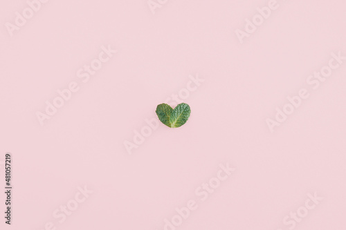Two leaves in a heart shape on the pink background. Flat lay Valentines concept.