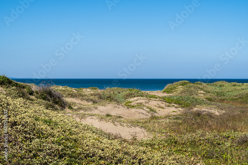 view of the coast of the sea and sand