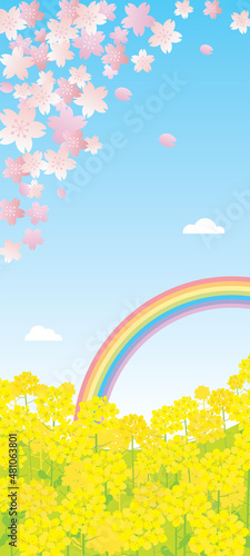 春の桜と菜の花の風景イラスト