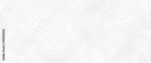 Vector contour topographic map background. Topography and geography map grid abstract backdrop, Vector illustration of topographic line contour map, White wave paper curved reliefs abstract background