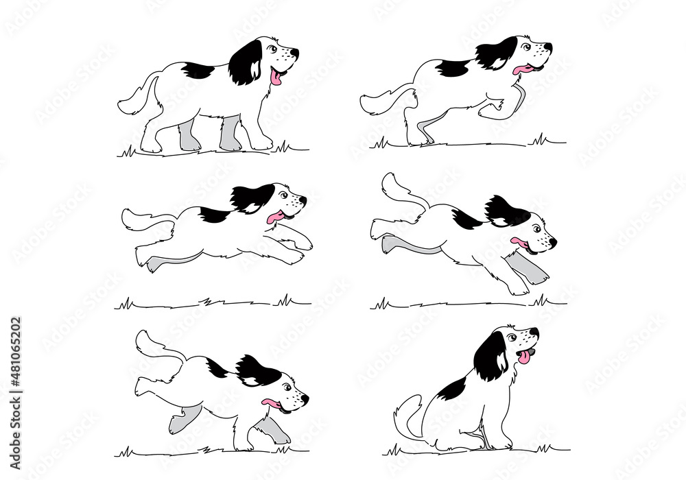 Running Happy Dog Motion on The Field Running Happy Dog Motion on The Field