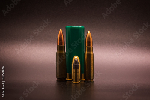 Fotografie, Obraz Shotgun, rifle, pistol ammunition on a black background