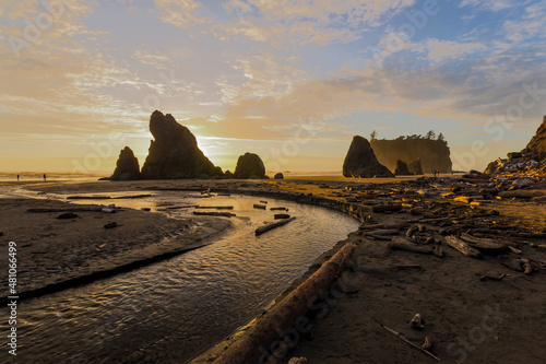 Beautiful rock formations and woods at the Ruby Beach in the Olympic National Park in Washington  USA. Sunset view