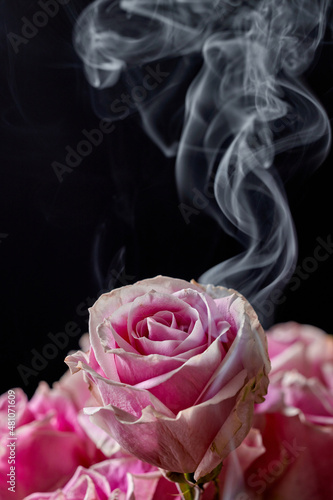 Smoking Roses