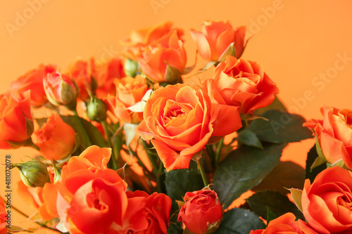 Bouquet of beautiful orange roses on color background