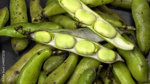 Fresh green broad bean poads rotation close up. Loop motion