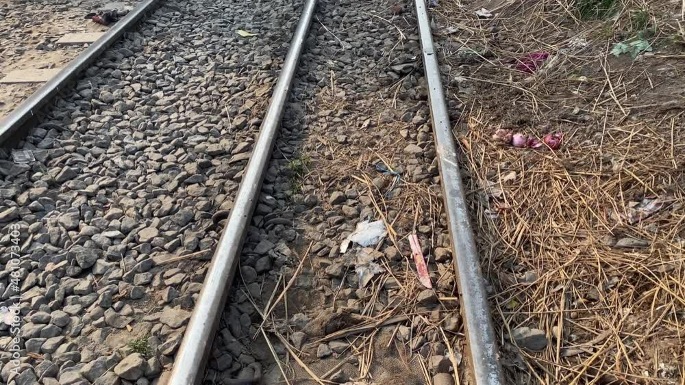 Pan Down Along Railway Tracks To Reveal Dead Rat Laying On Ground With Flies Around It Pan Down Along Railway Tracks To Reveal Dead Rat Laying On Ground With Flies Around It