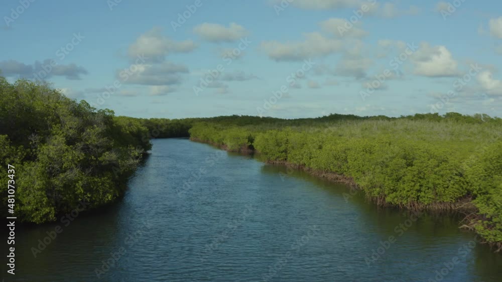Aerial flying forward over mangroves at Monte Cristi National Park Aerial flying forward over mangroves at Monte Cristi National Park