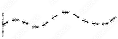 Ants marching in trail searching food. Ant path isolated in white background. Vector illustration