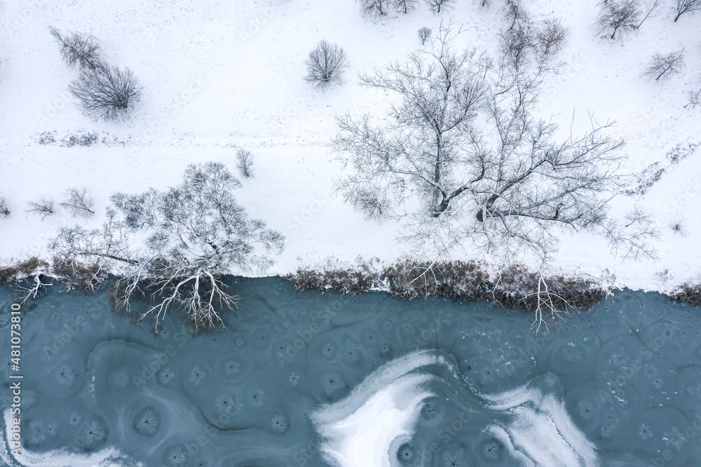 Φωτογραφία aerial top view of the winter trees covered with snow on the river bank