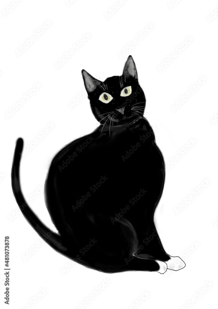 かわいい黒猫 かわいい黒猫