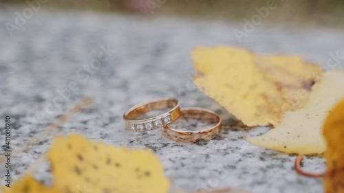 Two gold wedding rings with cubic zirkonia precious stones lie on marble surface. Yellow autumn leaves lie with symbol of eternal love, leaves are blown away by wind. Insect ant runs past rings. photo