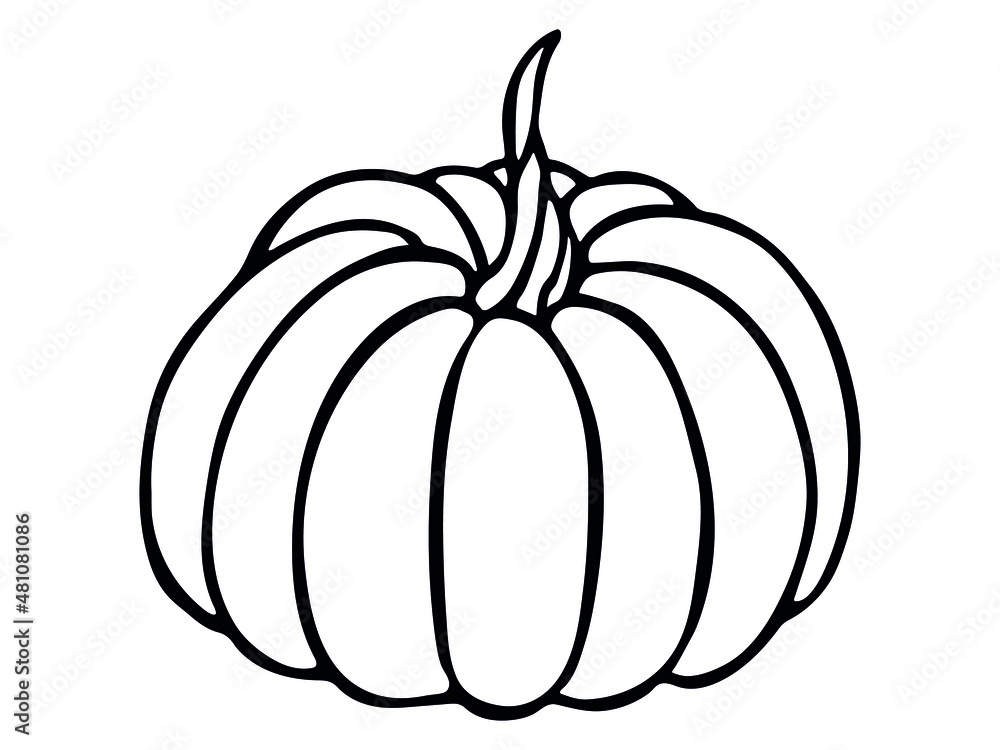 Vector hand drawn illustration of pumpkin. Isolated object on white background. Vegetable harvest clip art. Farm market product. Elements for autumn design, decoration. Vector hand drawn illustration of pumpkin. Isolated object on white background. Vegetable harvest clip art. Farm market product. Elements for autumn design, decoration.