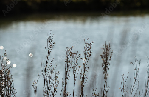 Tranquil Lake