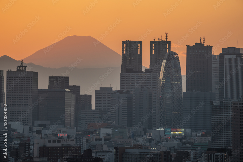 Fototapeta premium tokyo city scape