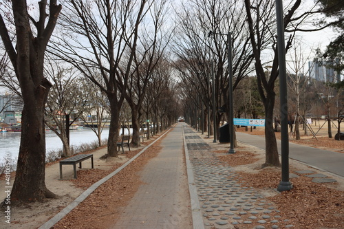 가로수길