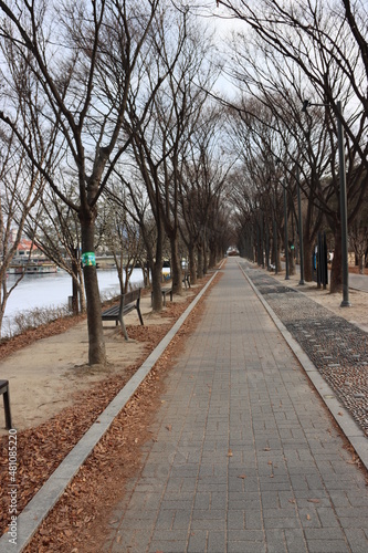 가로수길