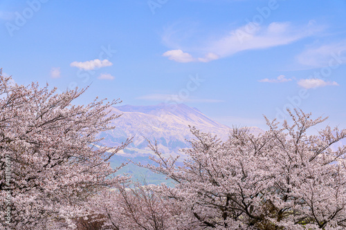 桜
Cherry blossoms
阿蘇山(五岳)を背景に桜と公園風景
Cherry blossoms and park scenery with Mt. Aso (Gogaku) in the background
日本2021年(春)撮影場所：南阿蘇アスペクタ
Japan 2021 (Spring) Location: Minamiaso Aspecta
(九州・熊本県)
(Kumamoto) photo