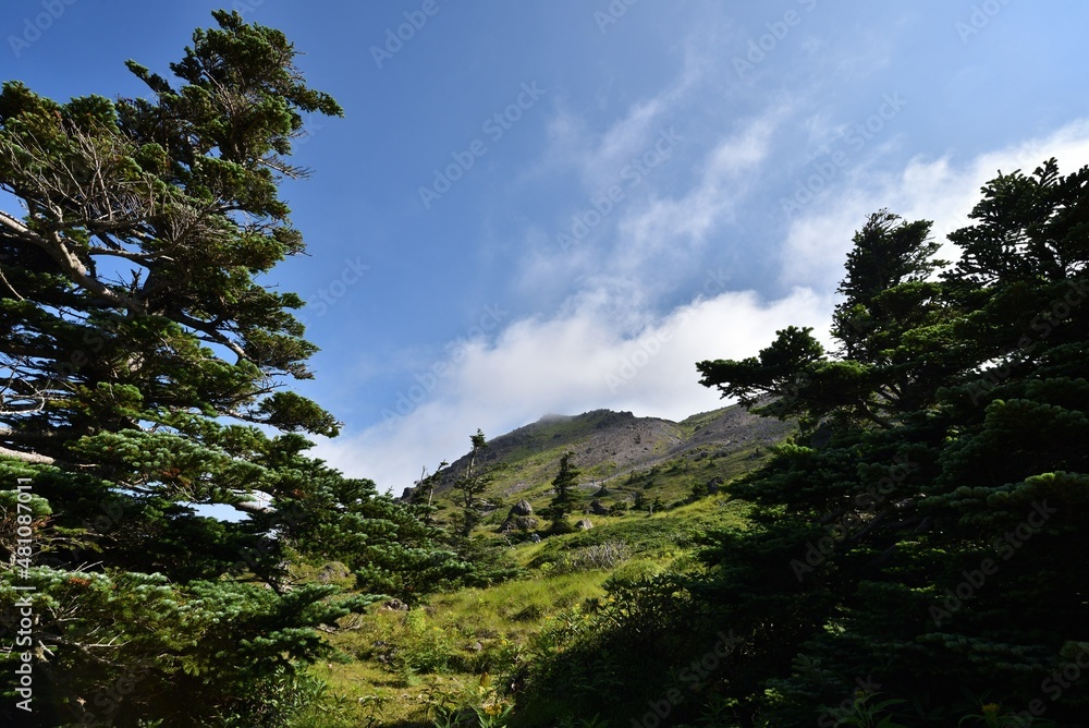 Mountain climbing in summer season Mountain climbing in summer season