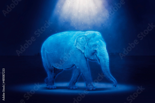 Elephant hologram in the cyberspace photo