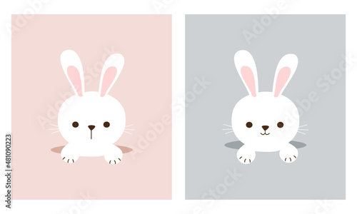 Easter rabbit bunny, rainbows on pink and grey backgrounds vector illustration.