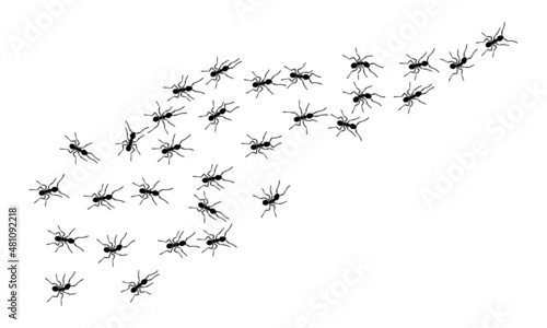 Worker ants trail line flat style design vector illustration isolated on white background. Top view of ants bug road trail marching in the line row. Pest control or insect searching concept.