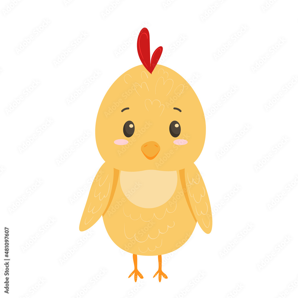 Vector yellow chick cute in flat style isolated on white background. Cute domestic bird with rosy cheeks and eyes with highlights, pastel colors, isolated on white background. Vector yellow chick cute in flat style isolated on white background. Cute domestic bird with rosy cheeks and eyes with highlights, pastel colors, isolated on white background.