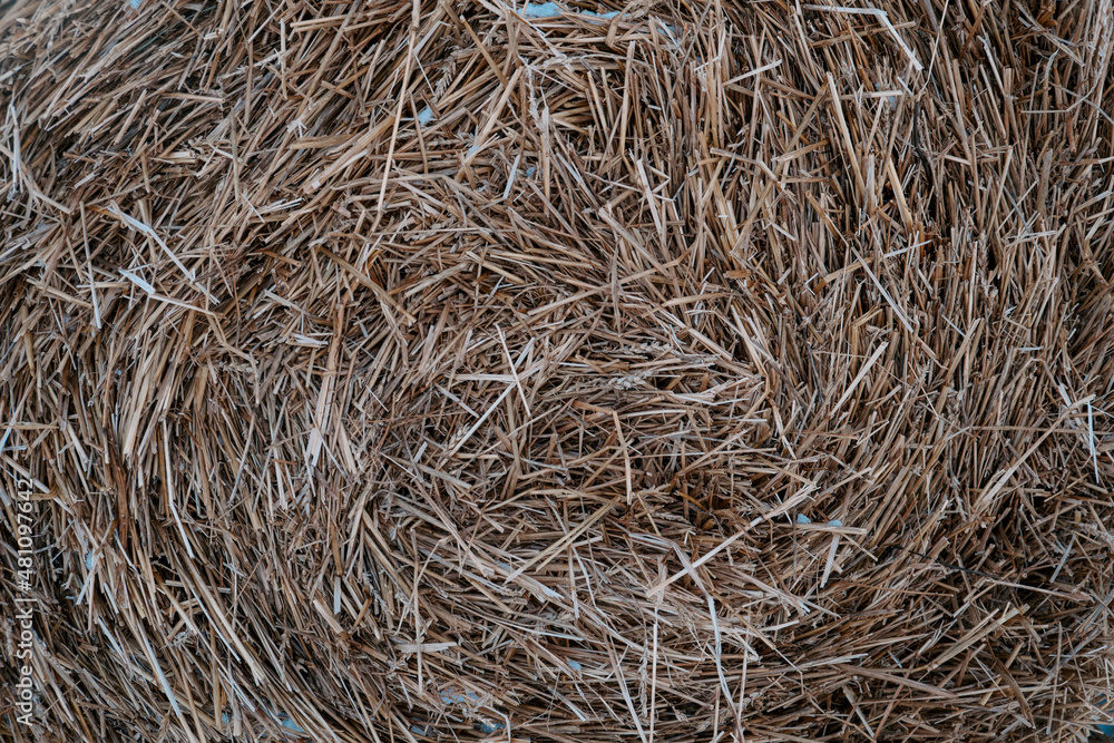 hay texture for animals in winter hay texture for animals in winter