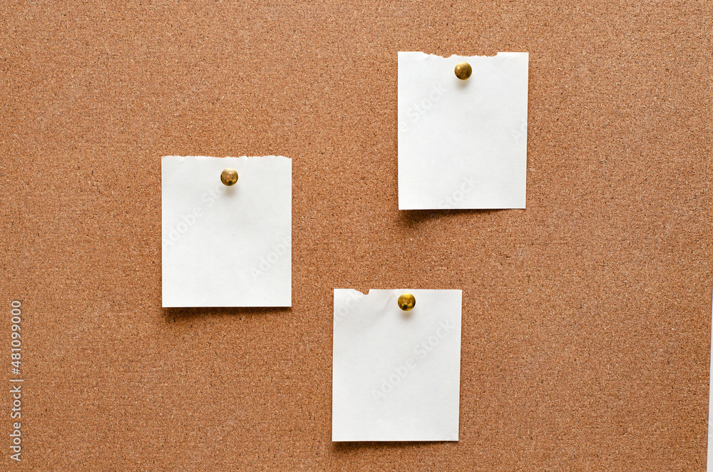 Blank paper notes are pinned to a cork board. Copy space. Blank paper notes are pinned to a cork board. Copy space.