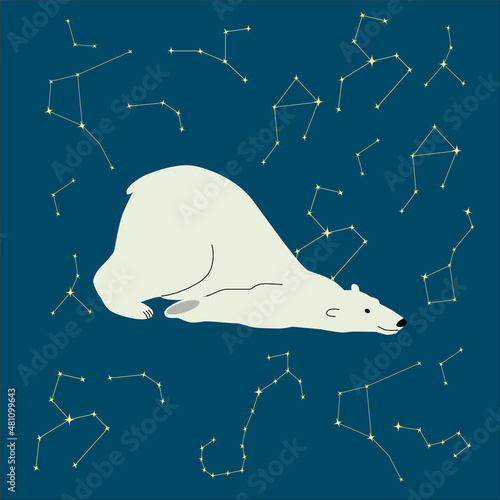 Polar bear, vector illustration. Starry night in the north.