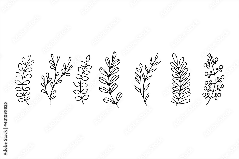 Set of floral elements, decorative branches, leaves. Vector illustration Set of floral elements, decorative branches, leaves. Vector illustration