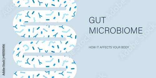Gut microbiome banner. Human intestine microbiota with healthy probiotic bacteria. Flat abstract medicine illustration of microbiology checkup. photo