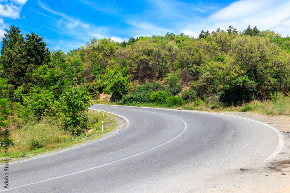 Asphalt winding road in a green forest