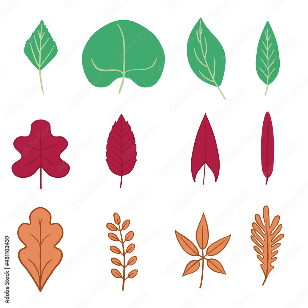 Obraz premium Vector set of flat illustration. Plants, trees, leaves, branches, bushes.