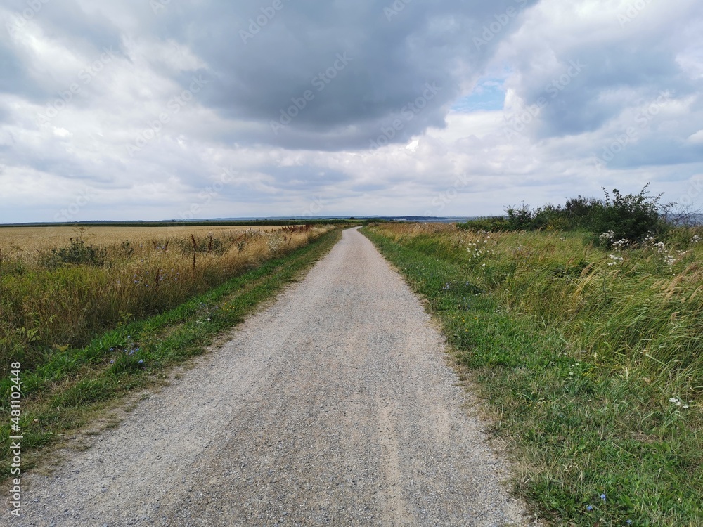 Path at the coast of the Baltic Sea in north Germany