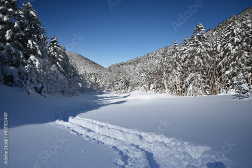 雪の積もる八ヶ岳の登山道 © 亮太 田中