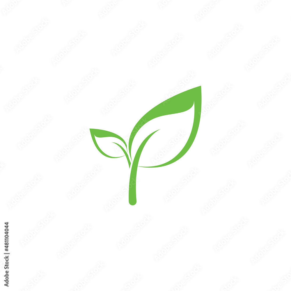 leaf logo icon vector design template