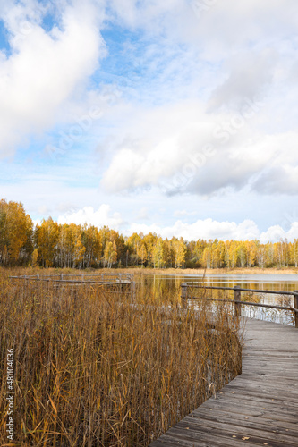 Beautiful autumn landscape view near lake and forest with wood walking trail.