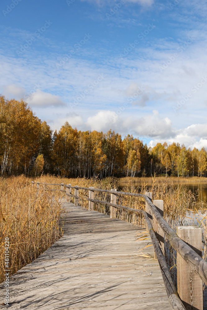 Beautiful autumn landscape view near lake and forest with wood walking trail. Beautiful autumn landscape view near lake and forest with wood walking trail.