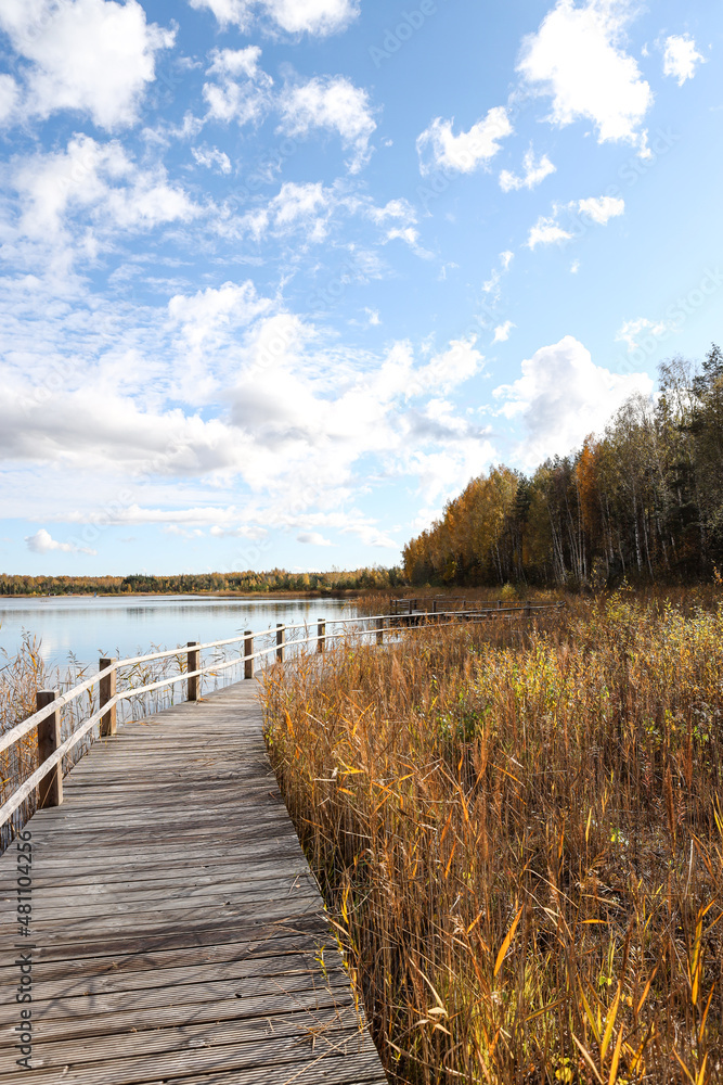 Beautiful autumn landscape view near lake and forest with wood walking trail. Beautiful autumn landscape view near lake and forest with wood walking trail.