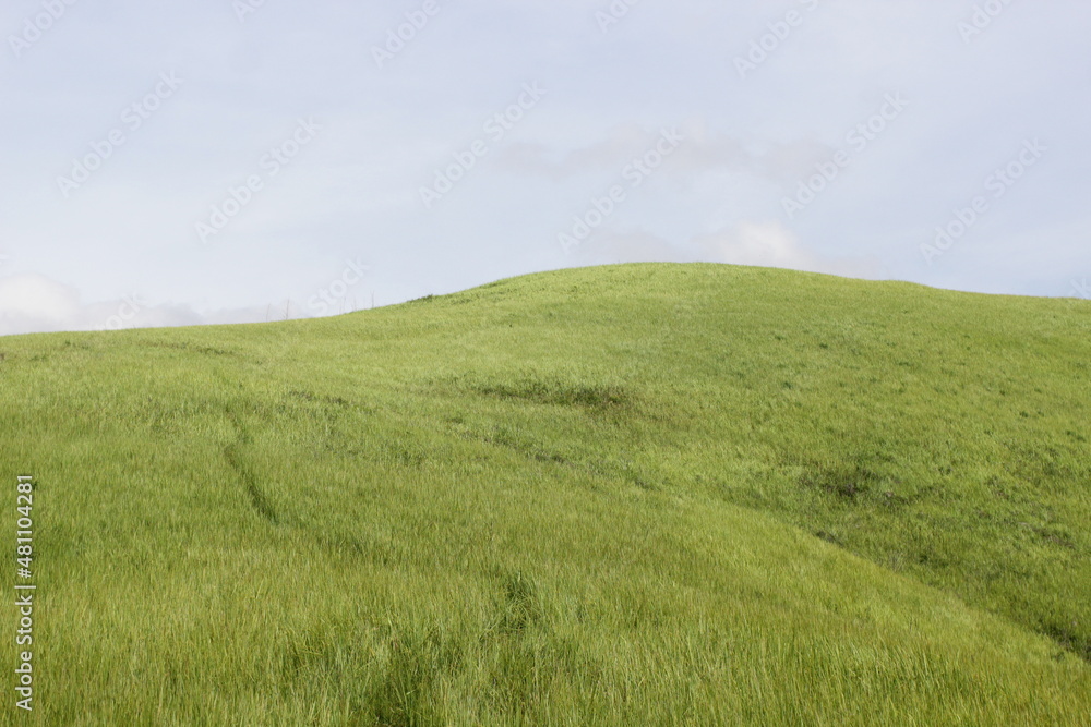 Obraz premium lanscape