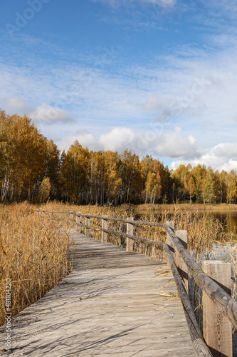 Beautiful autumn landscape view near lake and forest with wood walking trail.