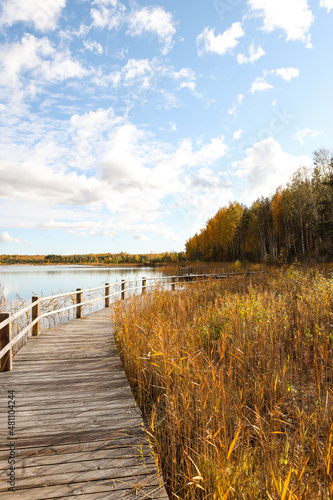 Fototapeta Naklejka Na Ścianę i Meble -  Beautiful autumn landscape view near lake and forest with wood walking trail.