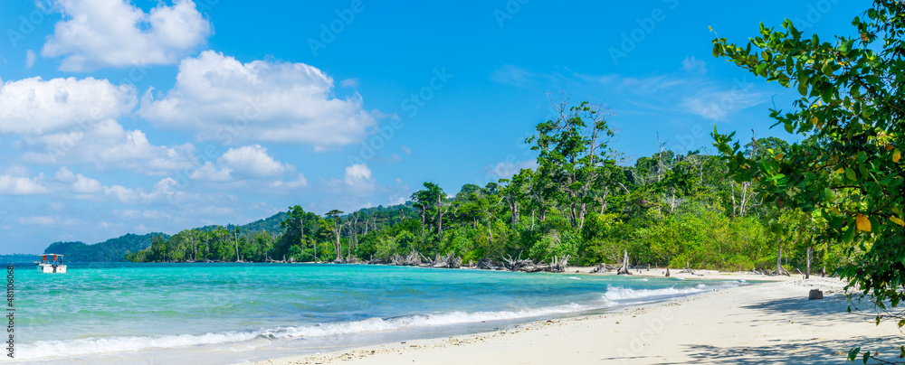 beach with trees, Elephant Beach, Havelock Island, Andaman, India beach with trees, Elephant Beach, Havelock Island, Andaman, India