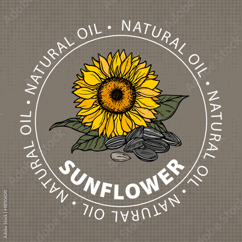 Sunflower natural oil. Label for bottle sunflower oil. Sunflower and seeds, color vector illustration. Sunflower oil. Templates label for sunflower oil