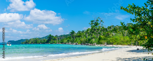 Fototapeta Naklejka Na Ścianę i Meble -  beach with trees, Elephant Beach, Havelock Island, Andaman, India