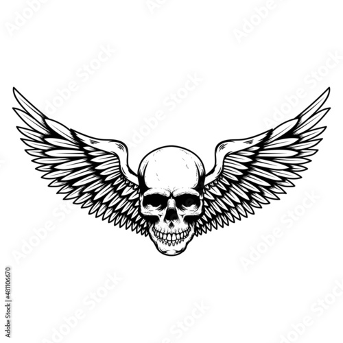 Winged skull . Design element for emblem, sign, badge, logo. Vector illustration