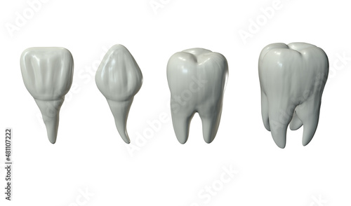 Foto 3D rendering of 4 type of human teeth