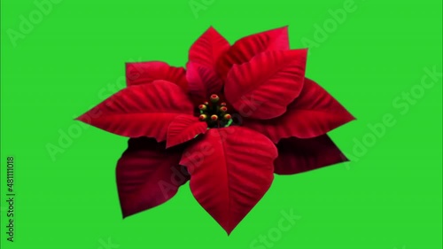A red flower with petals is floating on the green screen